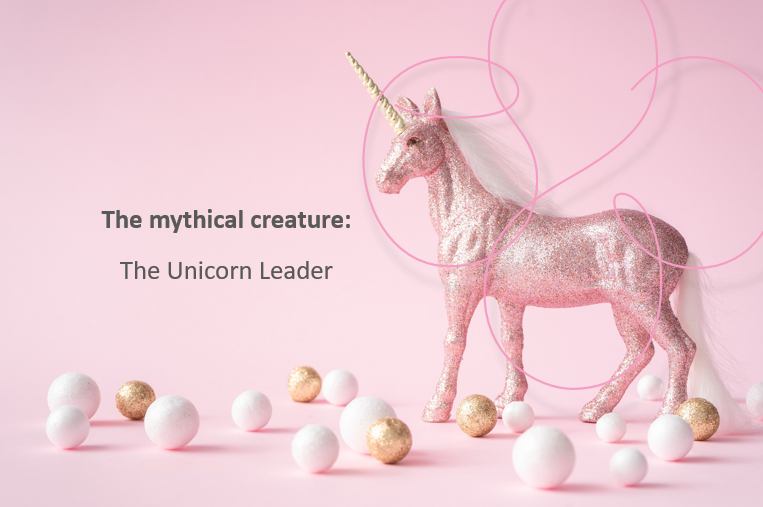 Are You The Unicorn Leader?